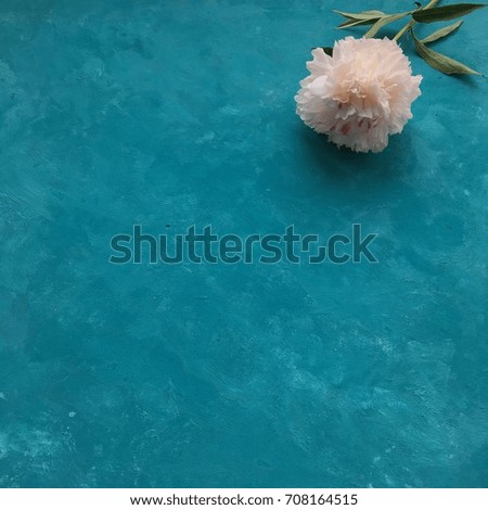 Flower on background