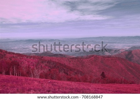 nature infrared