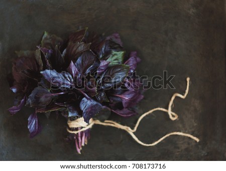a bunch of fresh purple basil on a dark background in retro toning.