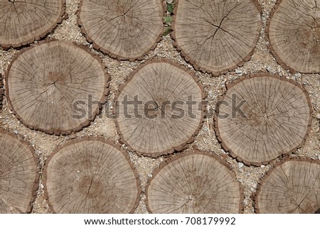 Wooden texture made of old tree boles. Natural theme pictured in the background, top view of cracked tree stumps, old tree trunks with texture of annual rings, retained on the wooden sawdust.