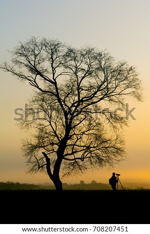 The morning sunrise with dry tree and photographer.Mist and rice field in the morning.