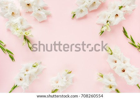 Border frame made of white gladioluses on pink background. Pattern of gladioli with space for your text, holiday greeting card. Valentine's. Flat lay, top view. Flowers texture. Frame of flowers. 