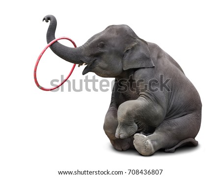 Cute baby elephant playing hulahoop isolated on white background with clipping path