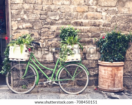 vintage green bicycle on a rustic wall  with plants on basket in a summer  scene