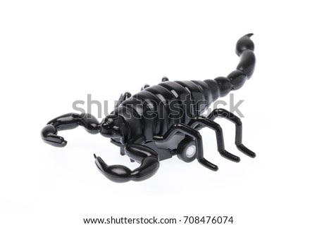 The black  scorpion isolated on white background