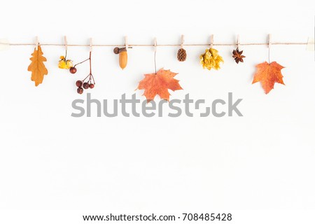 Autumn composition. Autumn flowers and leaves, acorn, pine cone, anise star. Flat lay, top view, copy space