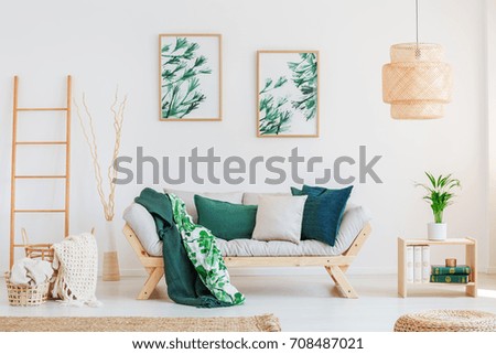 Plant on wooden table in neutral living room with green pillows on beige sofa and paintings on wall
