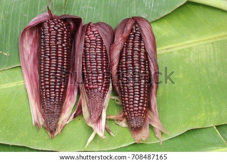 Purple corn on green banana leaf