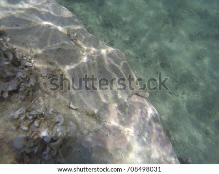 Turquoise water in Minorca island Balearics Spain Underwater image