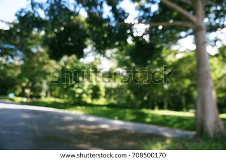 Blurred of beautiful nature Green tree forest background. with copy space