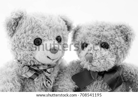 Teddy bear couple on white background,Love concept,Love valentine,Black and white