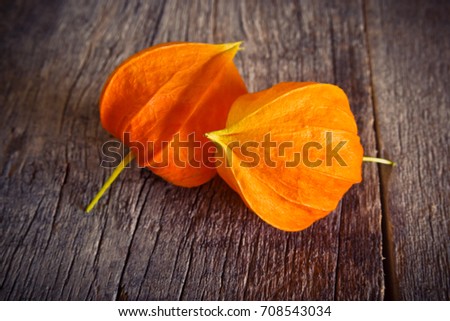 Two orange flowers of Phys-alis on an old wooden surface