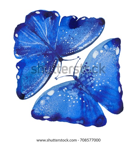 two blue butterflies, watercolor illustration  on white background