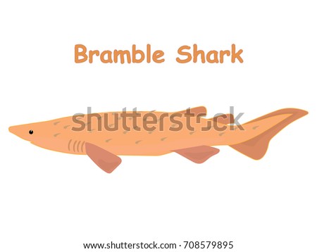 Bramble shark fish vector cartoon illustration, t shirt design for kids with aquatic animal theme isolated on white background wallpaper