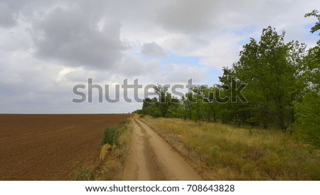 a dirt road along the field with trees