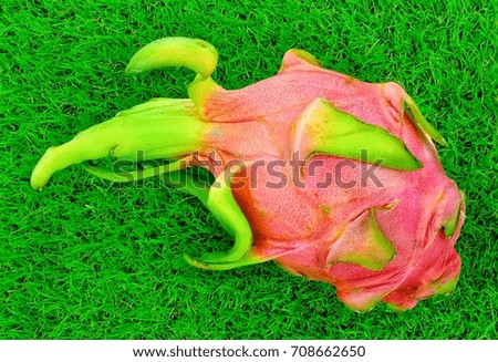 Dragon fruit On the green grass