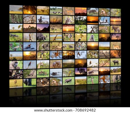 A variety of images of Botswana as a big image wall, documentary channel