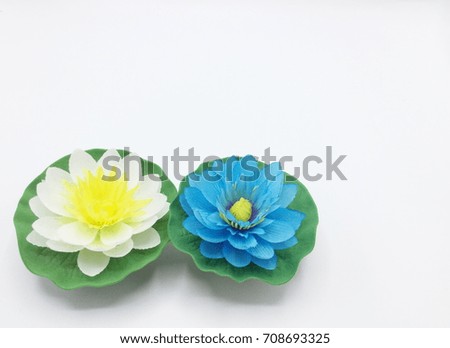 White and Blue Water lily isolated on white