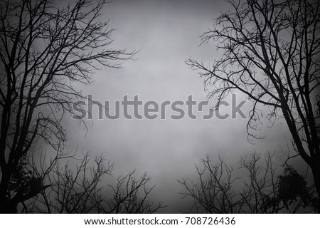 Silhouette dead tree at night for Halloween background.