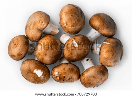  brown button mushroom isolated on white background, Agaricus bisporus (langes) Sing, Champiyong Mushroom 
