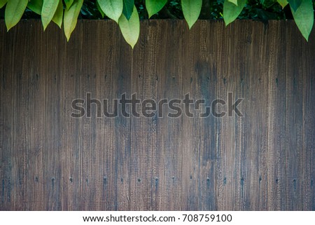 Green leaves over wood fence background