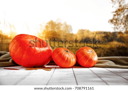 autumn background of apples and golden sunset time 