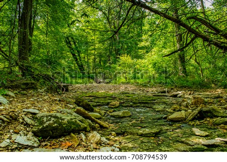Tree leaning over the dry creek bed.  Royalty-Free Stock Photo #708794539