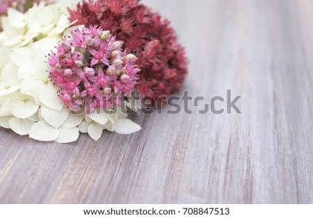 White and pink flower on wooden background