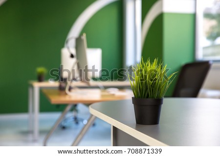 Green office interior  with a small plant on front and a computer in an out of focus background