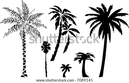 Palms (vector)