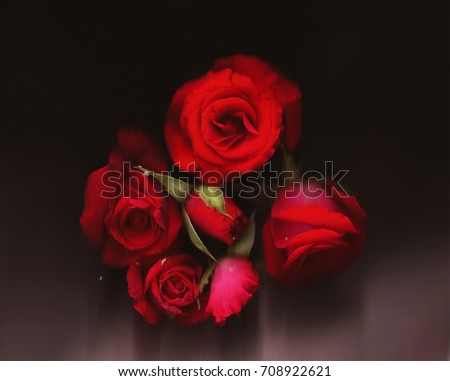 Brightly red roses on a black background Royalty-Free Stock Photo #708922621