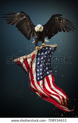 North American Bald Eagle flying with American flag. Patriotic concept.