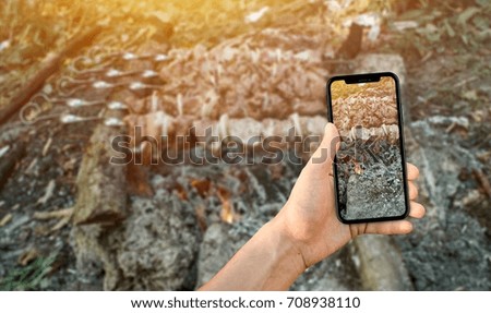 man taking a picture of shish kebab using a smartphone, point of view shot