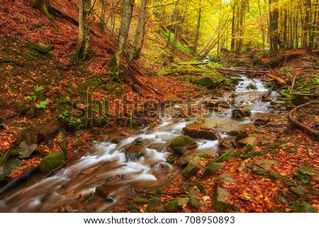rapid mountain river in autumn. Colorfull wood background