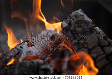 Bonfire. Fire wood. Grilling and cooking fire. Woodfire with flames. 