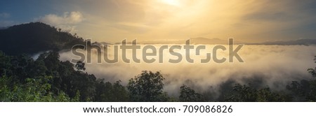 sunrise over fog forest at Thailand (panorama).
