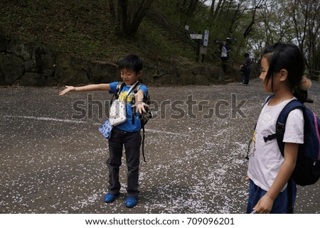 asian kids walking beautiful street in the forest early spring cherry blossoms