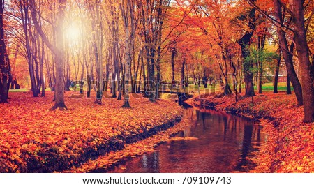 wonderful landscape with autumn trees in forest gloving in the sunlight. over the small river.   unusual picturesque scenery. artistic creative image. instagram filter. 