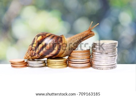 Brown snail climbing  the pile of coins with natural Bokeh  background , Victory and success from patience, Slow economic growth, Development financial and commit business concept Royalty-Free Stock Photo #709163185