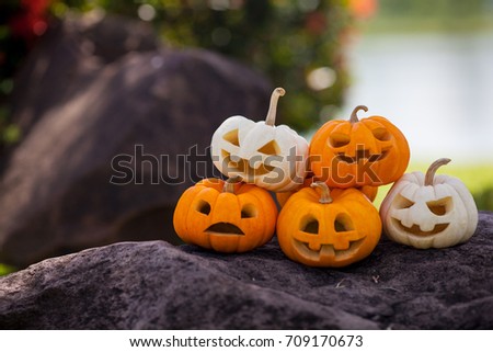 Halloween pumpkin on the rocks in the lawn