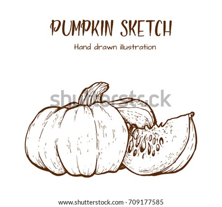 Pumpkin sketch hand drawn illustration. Isolated hand drawn object with sliced piece and seeds. Vegetable engraved style illustration. Detailed vegetarian food sketch. Farm market product.