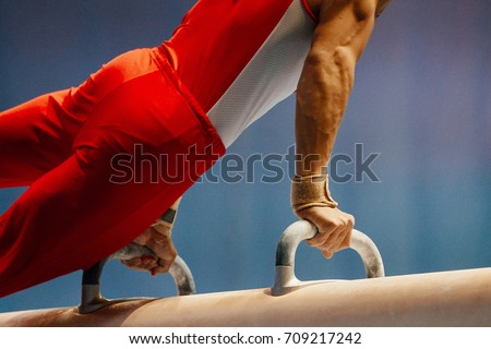 pomme horse male gymnast to competition in artistic gymnastics