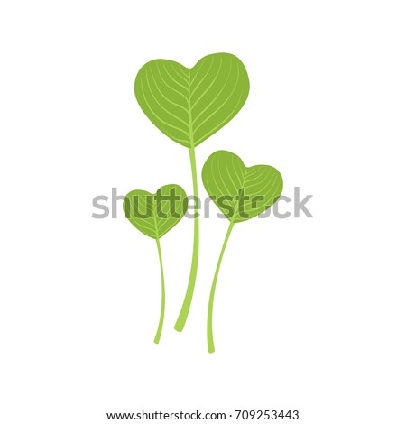 Green leaves in the form of heart vector Illustration