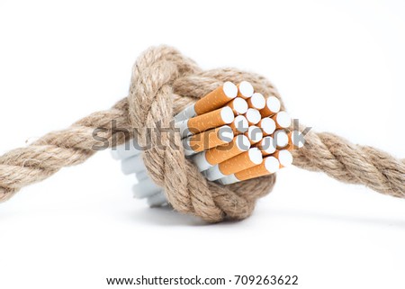 The dangers of Smoking. Cigarettes in rope knot on a white background.