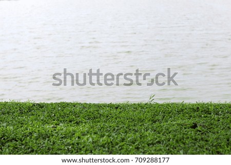 Green grass on the water landscape