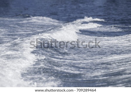 Wave in the sea.