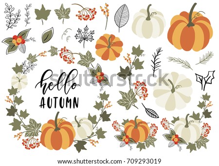 Collection of Autumn and Fall elements. Clip art with Pumpkin, leaf, wreath, branch, berry. Vector illustration. 