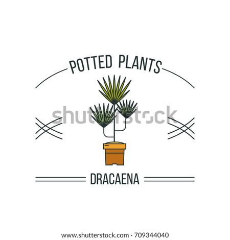 Potted plants. Advertising a flower shop. Isolated on white background. Vector illustration.