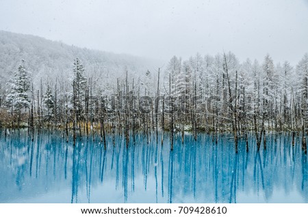 Blue Pond is a man-made water feature in Biei, Hokkaido, Japan. It is one of the world most beautiful pond and offer different view for each season. The pond opened at 2010 and become tourism hotspot. Royalty-Free Stock Photo #709428610