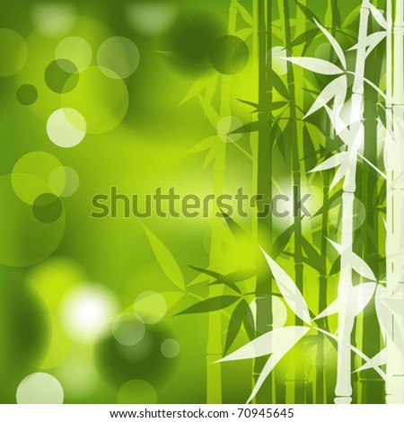 Bamboo abstract background, vector illustration, eps10